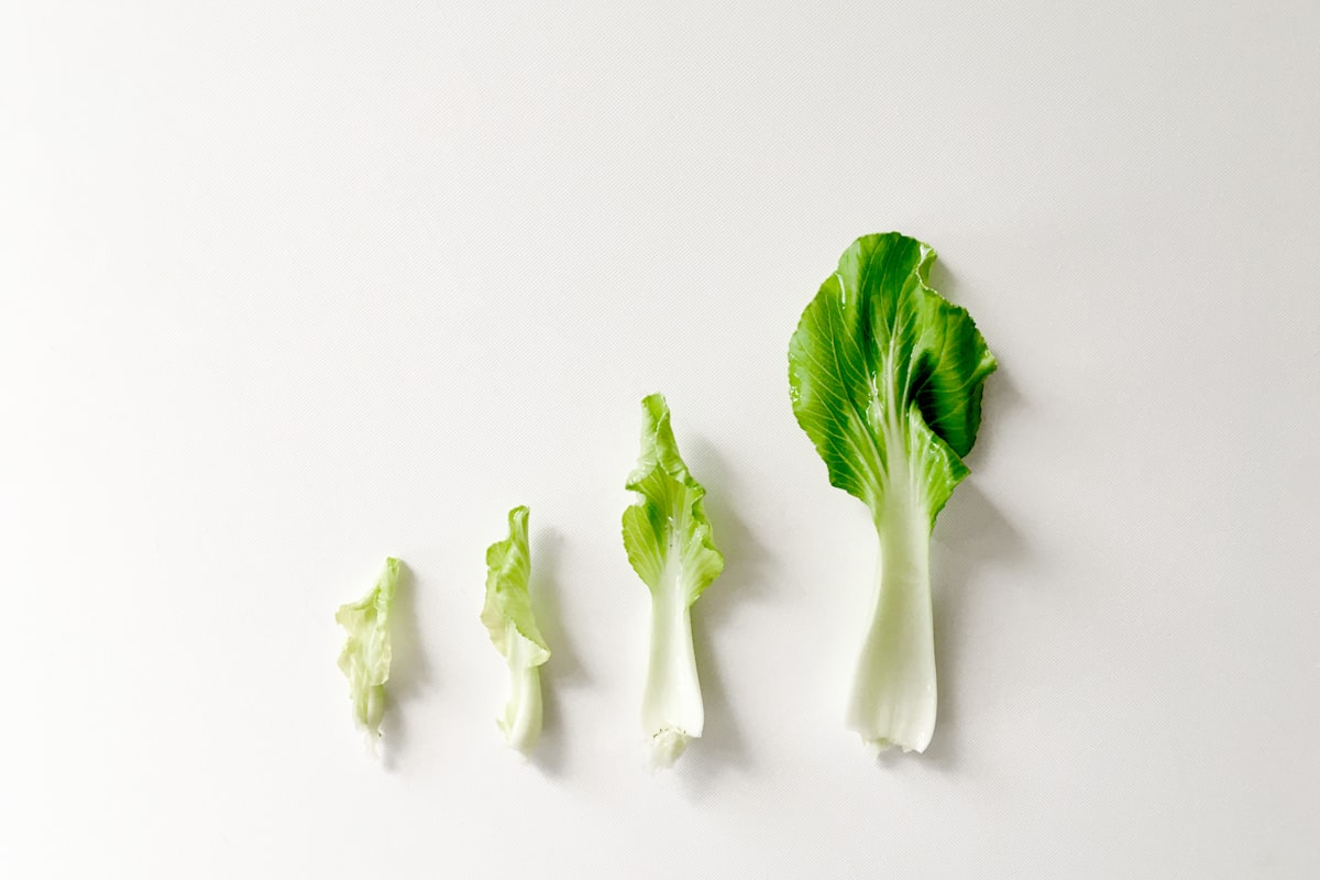 Млечни продукти